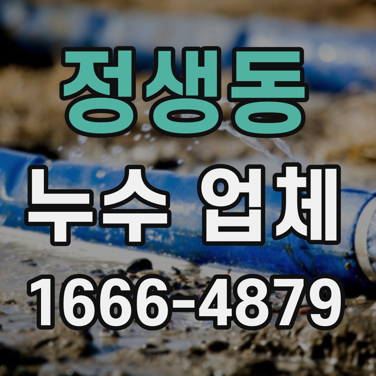 정생동 누수 업체