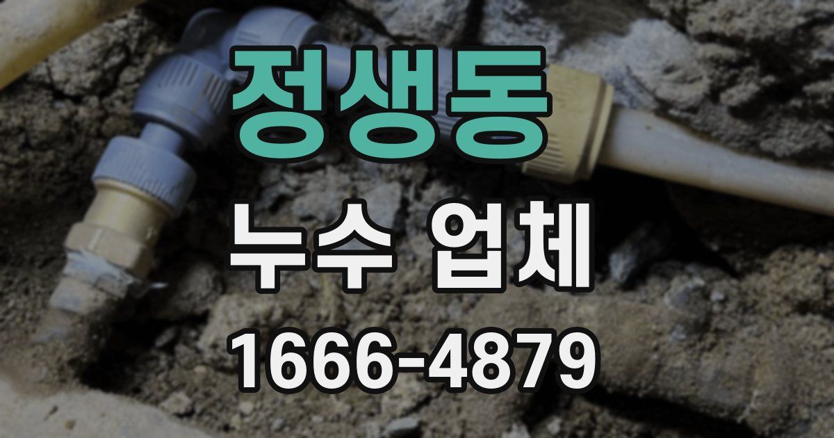 정생동 누수 업체
