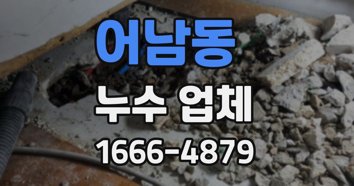 어남동 누수 업체