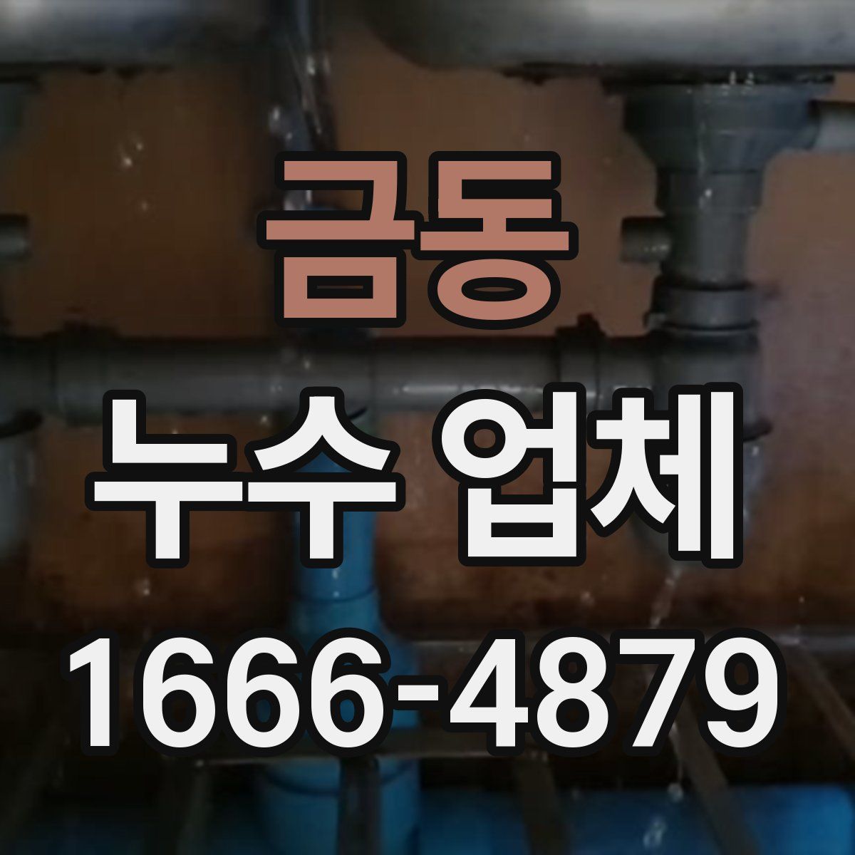 금동 누수 업체
