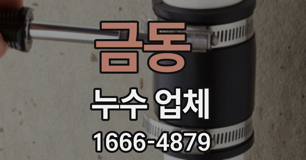 금동 누수 업체