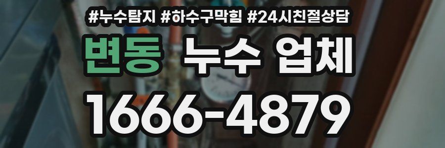변동 누수 업체