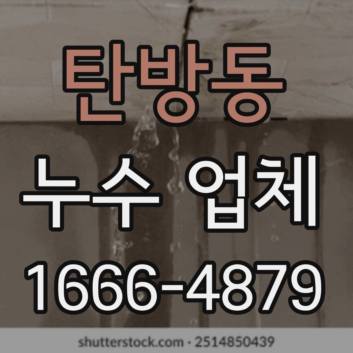 탄방동 누수 업체