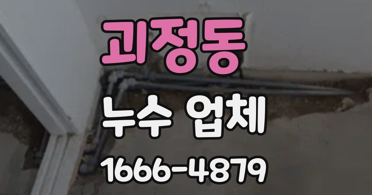 괴정동 누수 업체