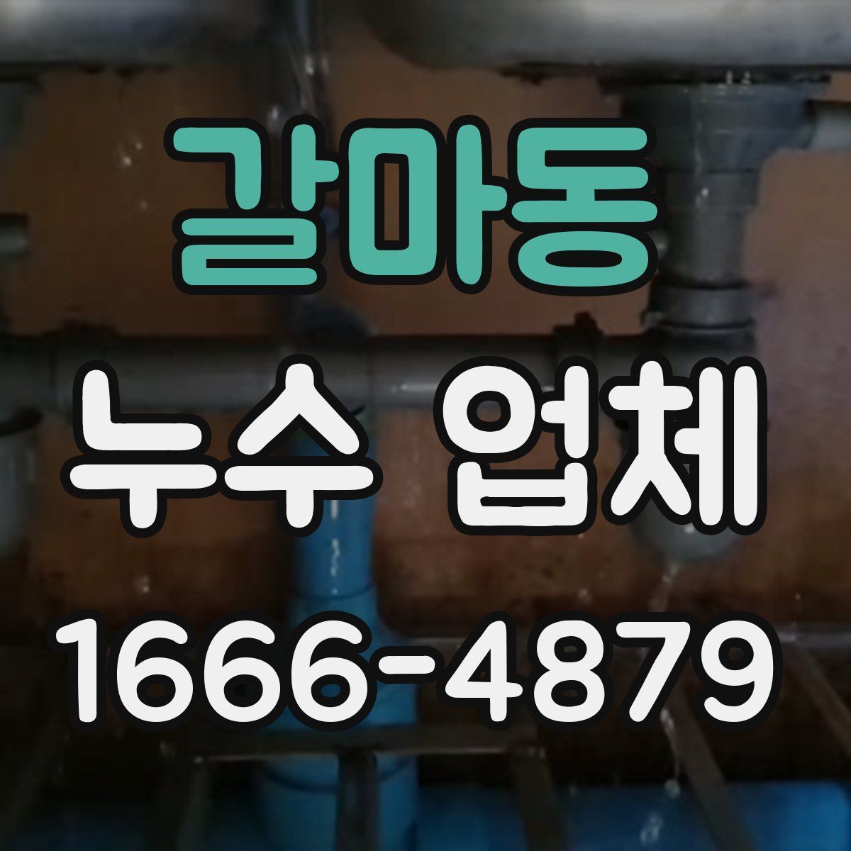 갈마동 누수 업체