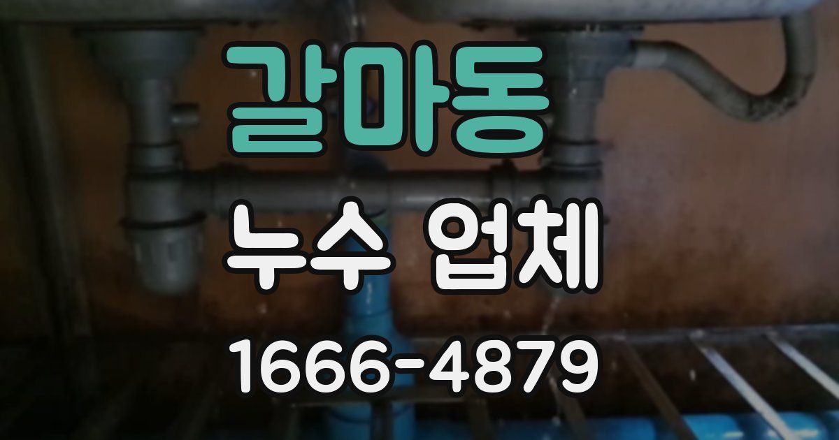 갈마동 누수 업체