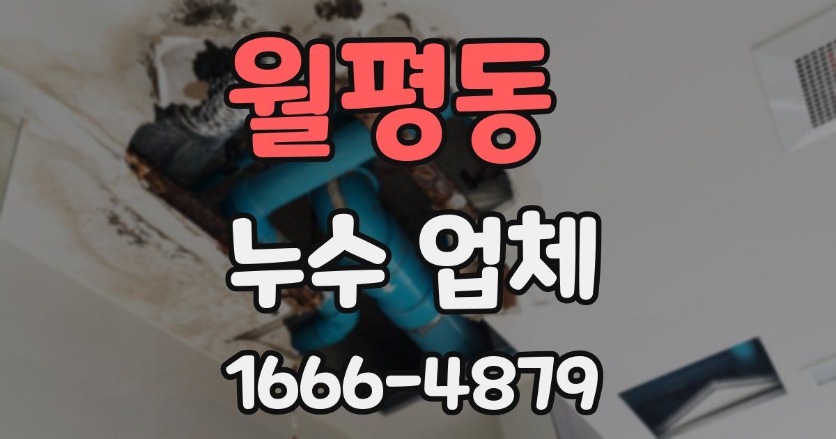 월평동 누수 업체
