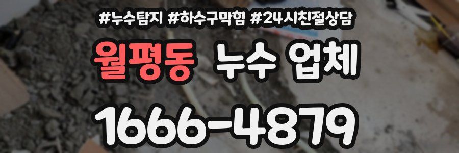 월평동 누수 업체