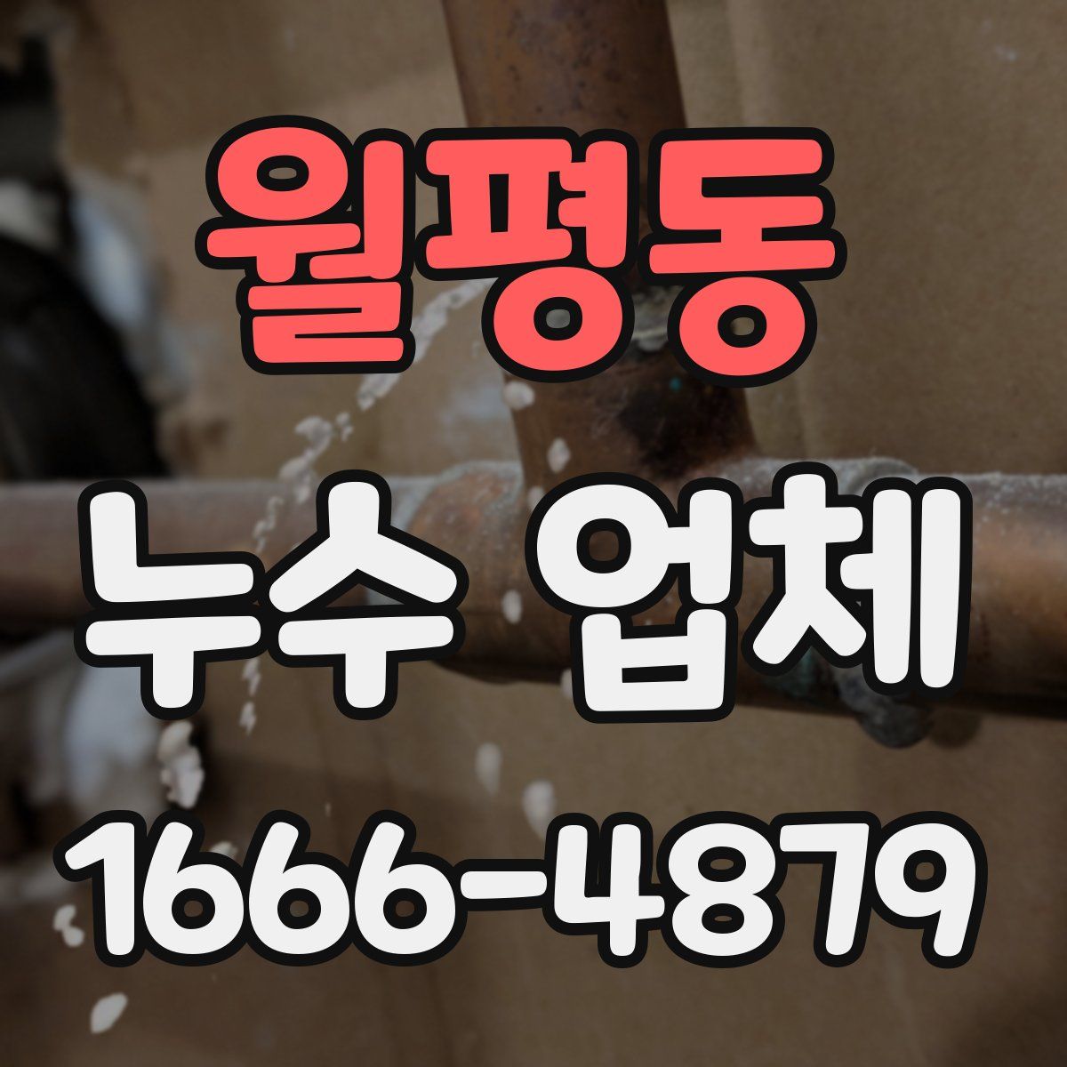 월평동 누수 업체