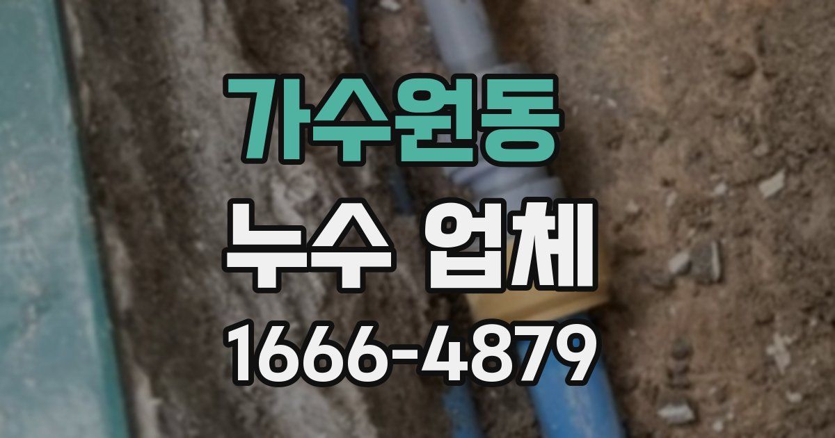 가수원동 누수 업체