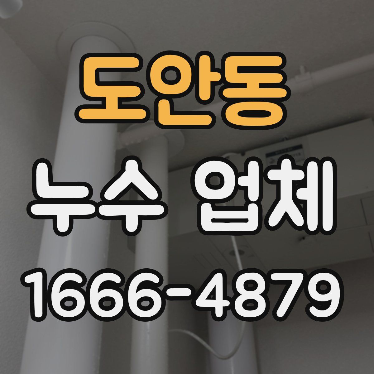 도안동 누수 업체
