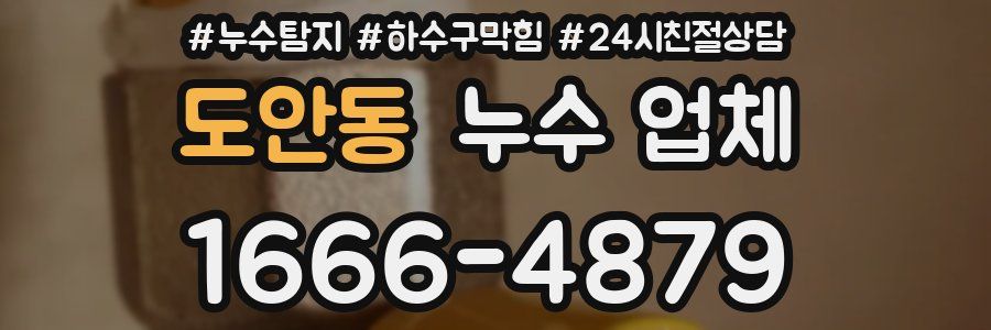 도안동 누수 업체