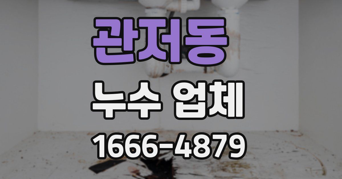 관저동 누수 업체