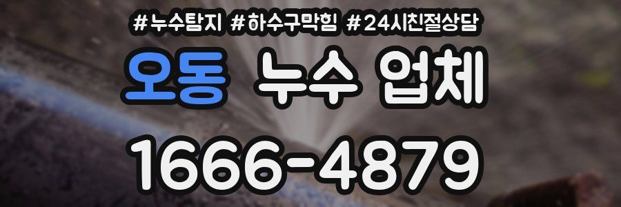 오동 누수 업체