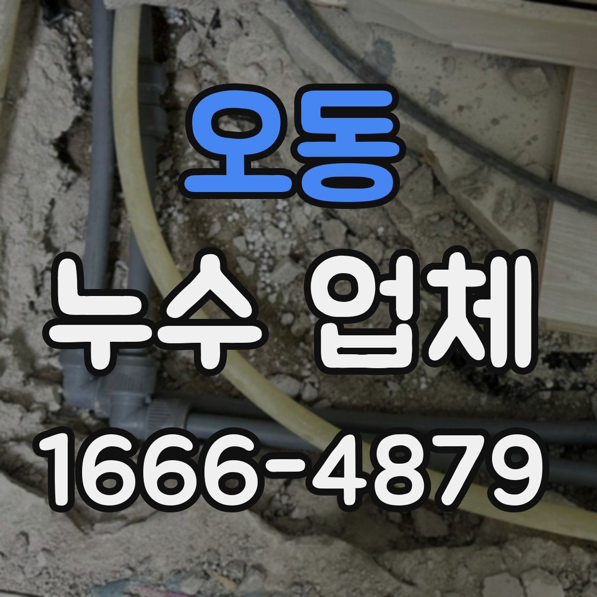 오동 누수 업체