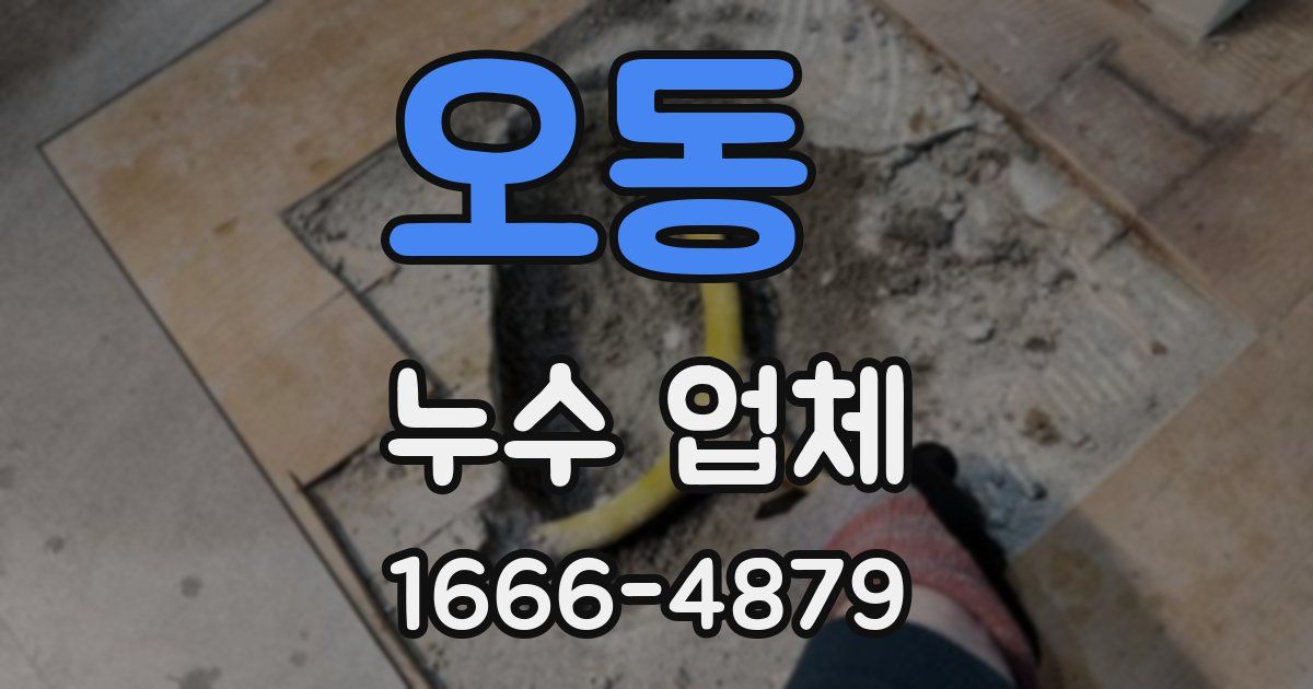 오동 누수 업체