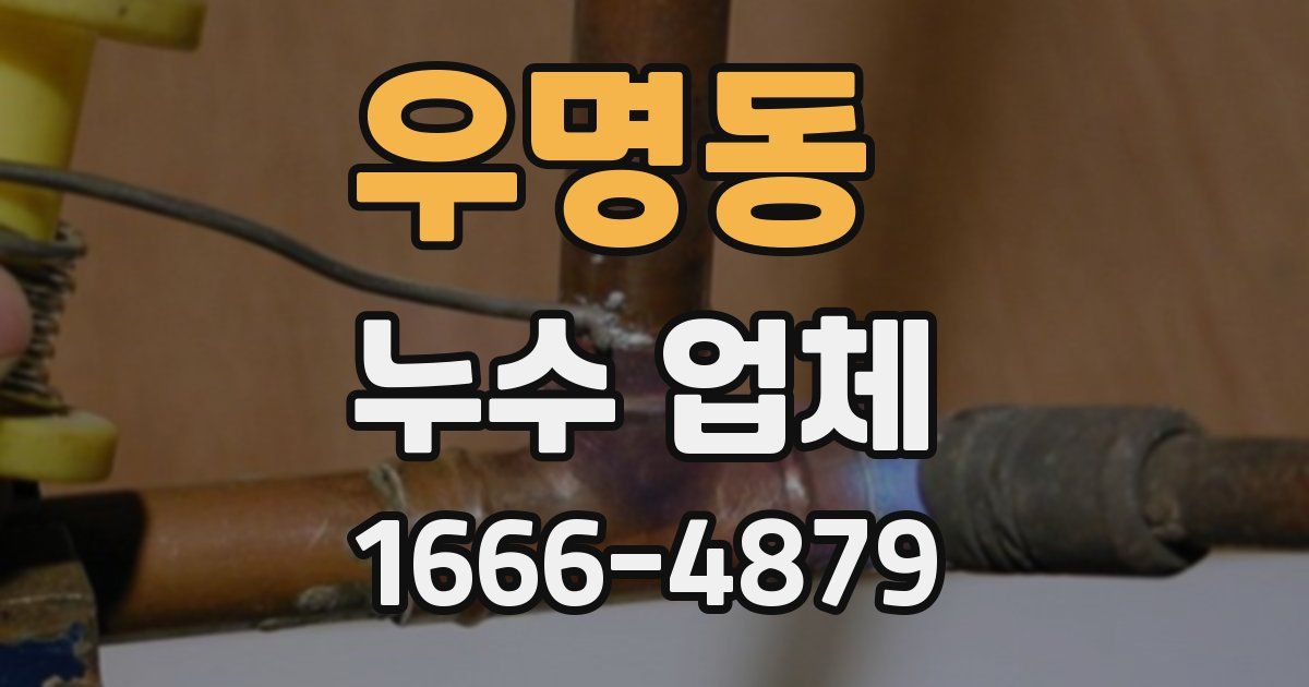 우명동 누수 업체