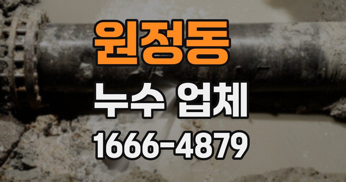 원정동 누수 업체