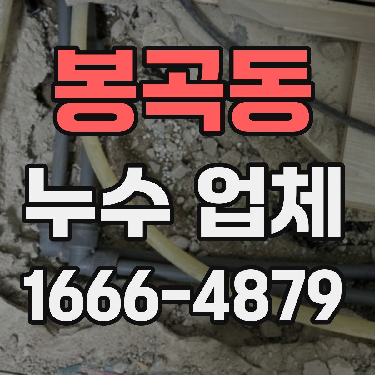 봉곡동 누수 업체