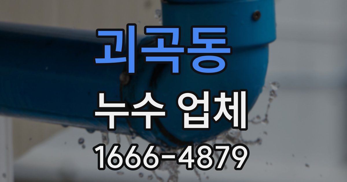 괴곡동 누수 업체