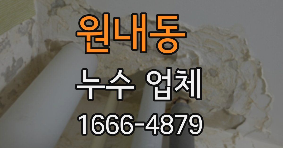 원내동 누수 업체