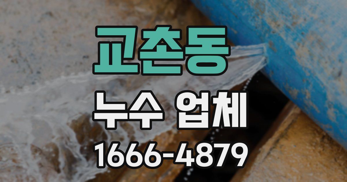 교촌동 누수 업체