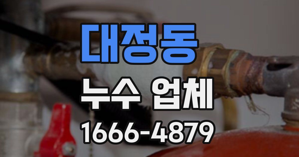 대정동 누수 업체