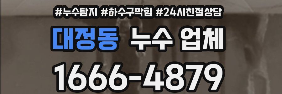 대정동 누수 업체
