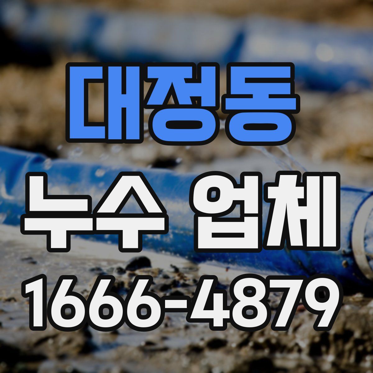 대정동 누수 업체
