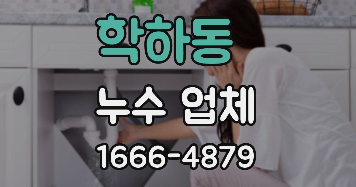 학하동 누수 업체