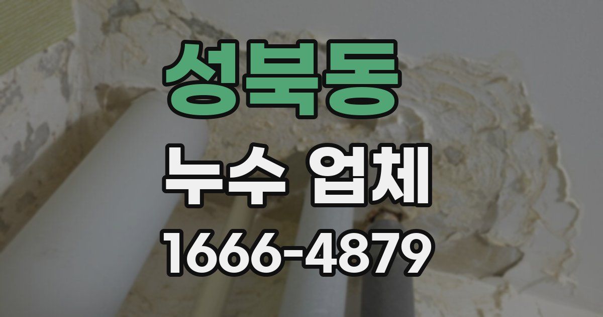 성북동 누수 업체