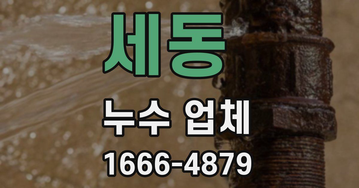 세동 누수 업체