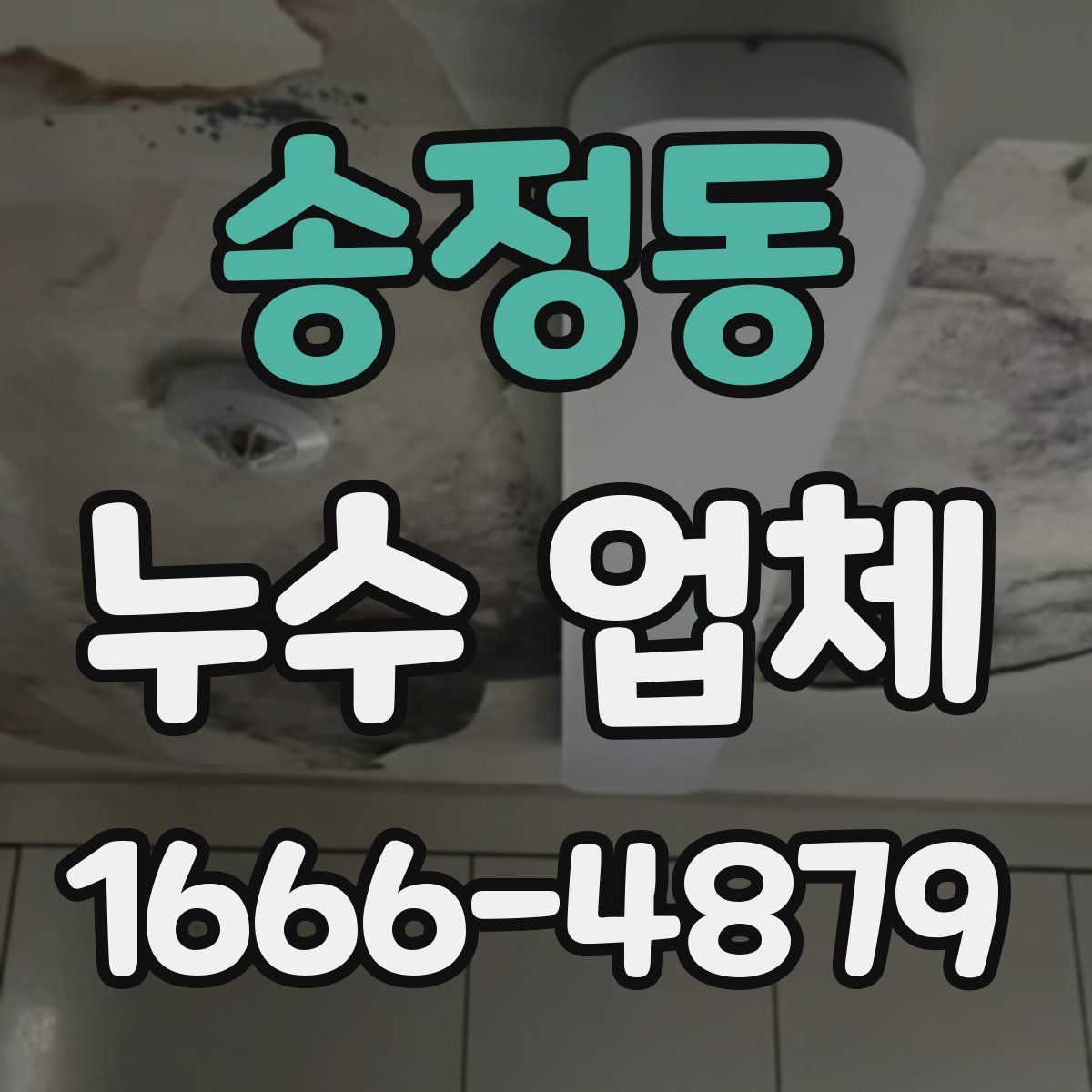 송정동 누수 업체