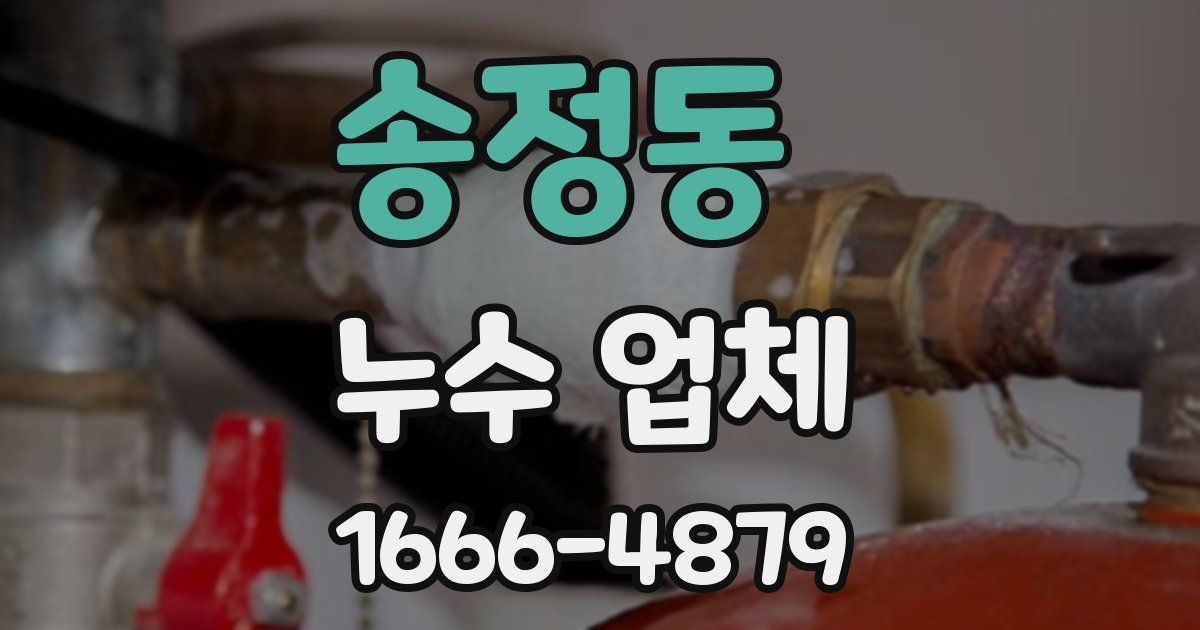송정동 누수 업체