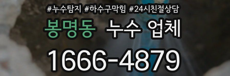 봉명동 누수 업체