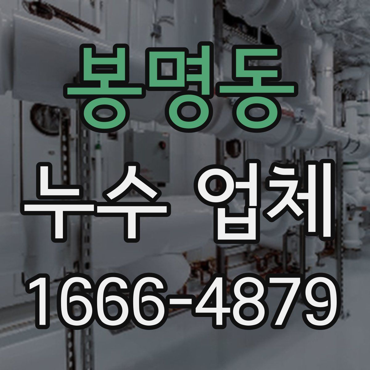 봉명동 누수 업체