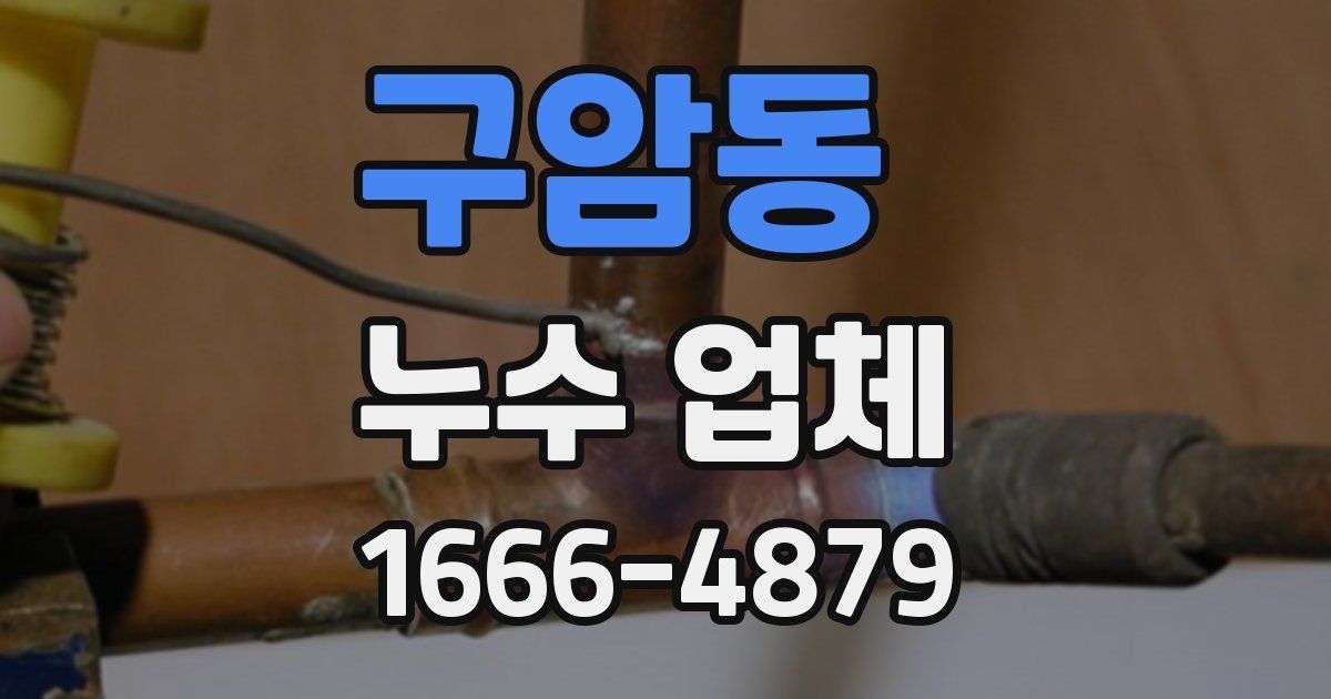 구암동 누수 업체