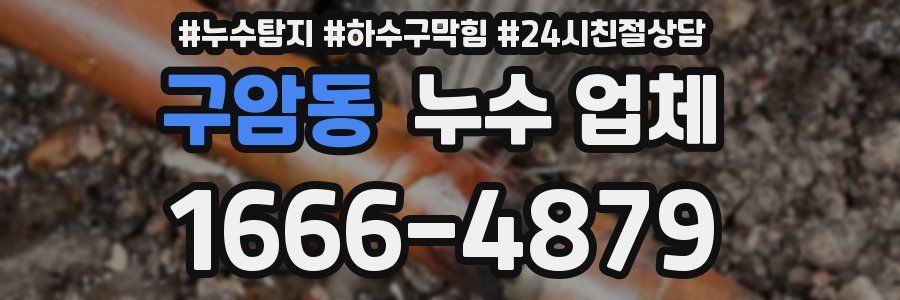 구암동 누수 업체