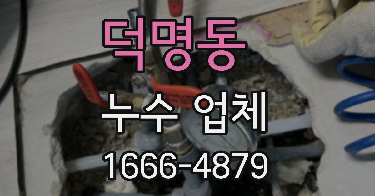 덕명동 누수 업체