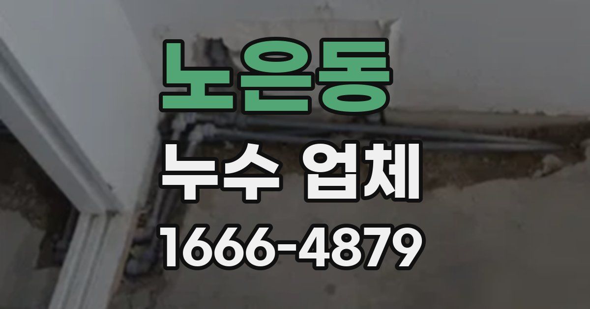노은동 누수 업체