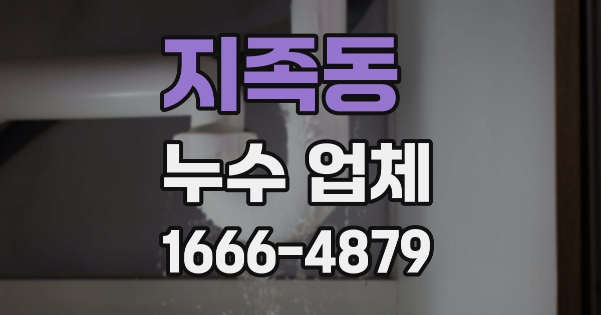지족동 누수 업체