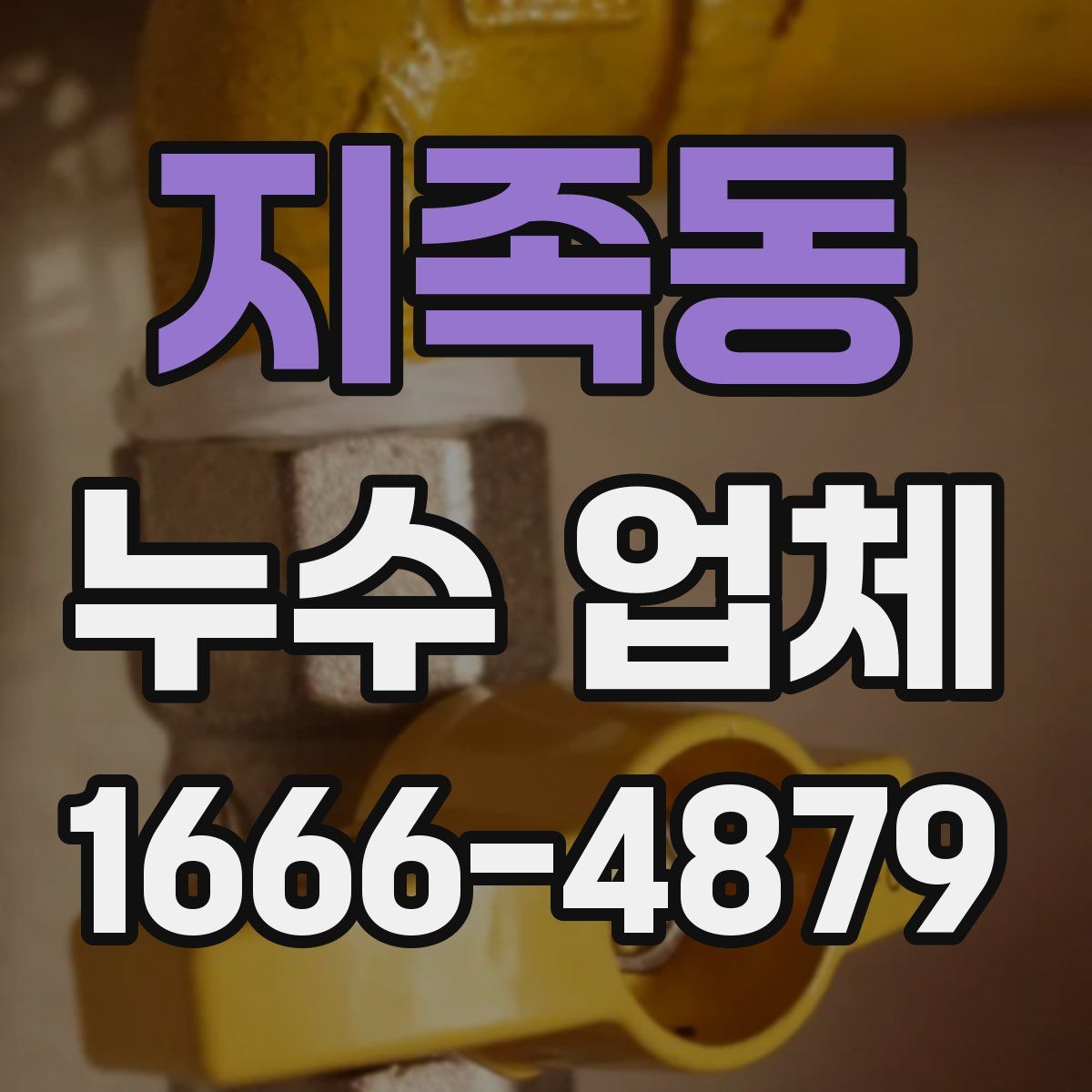 지족동 누수 업체