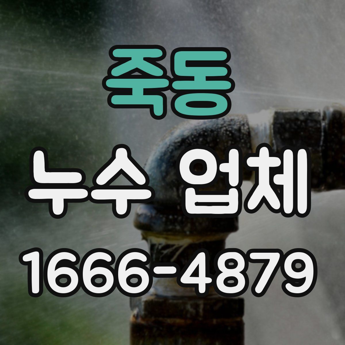 죽동 누수 업체