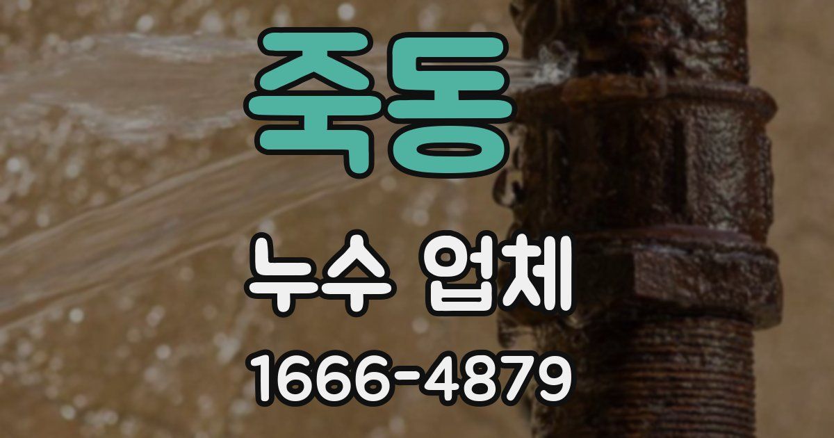 죽동 누수 업체