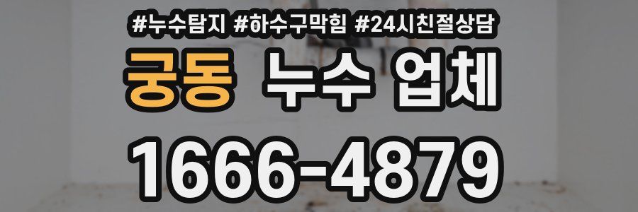 궁동 누수 업체