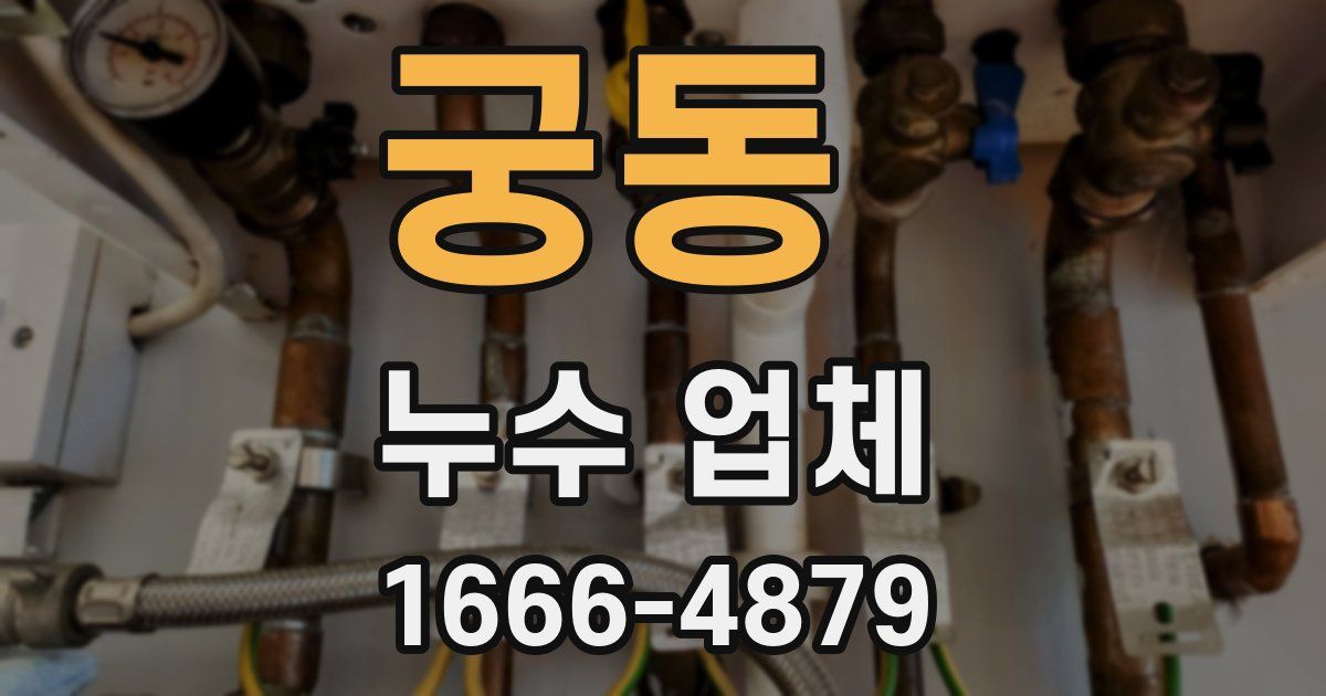 궁동 누수 업체