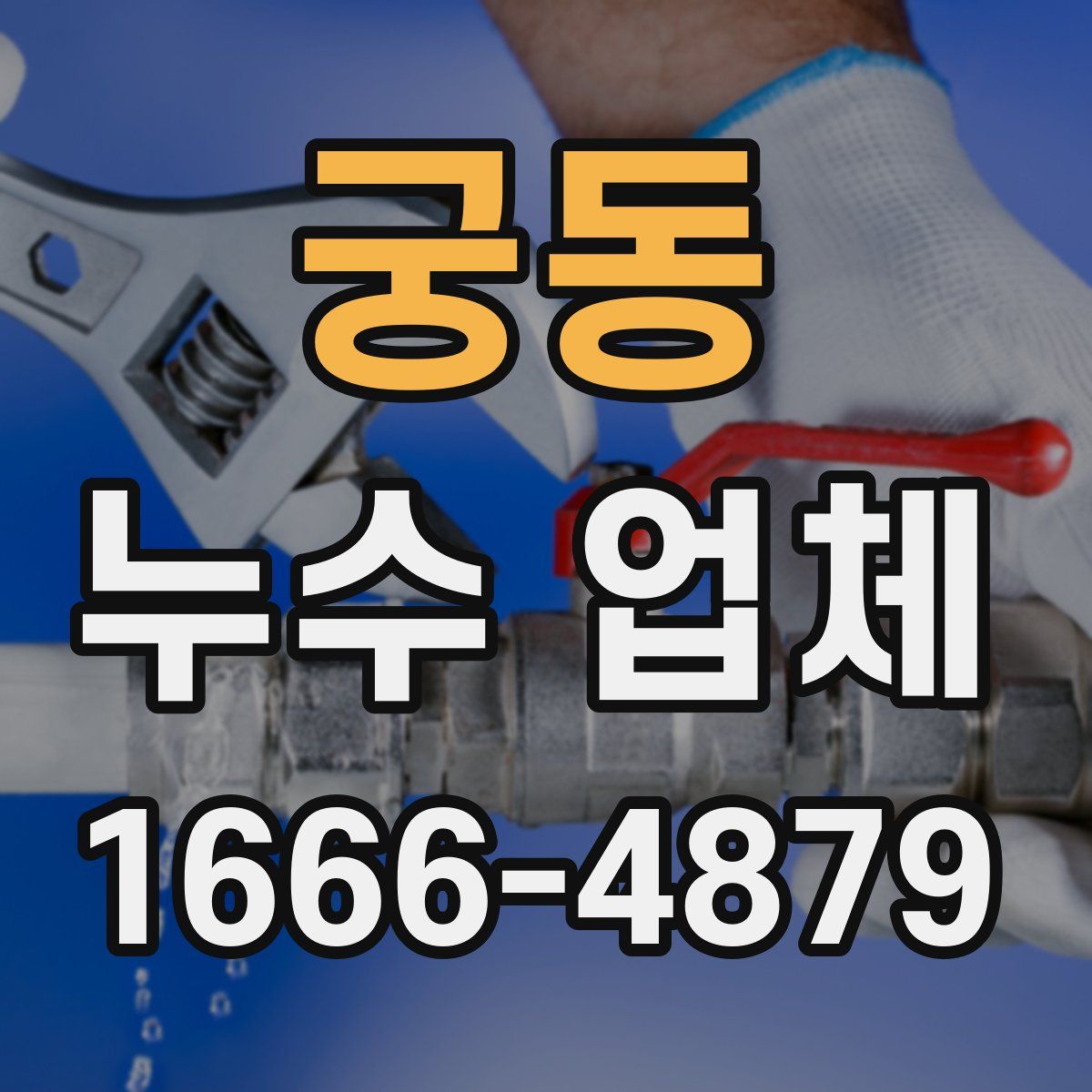 궁동 누수 업체