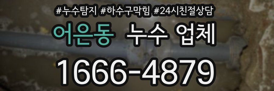 어은동 누수 업체