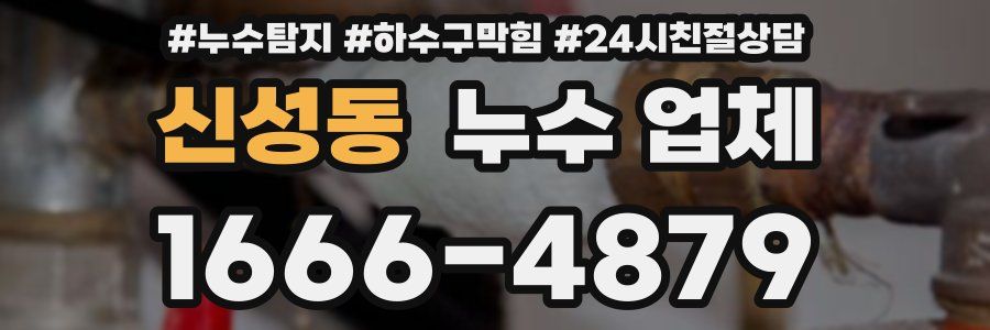 신성동 누수 업체