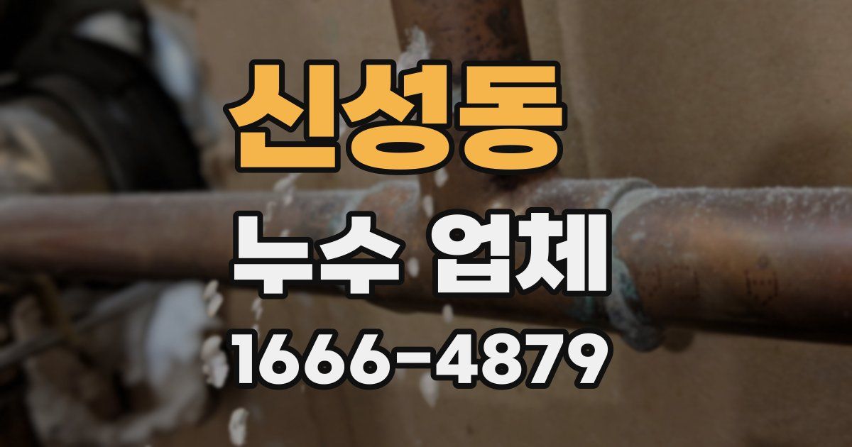 신성동 누수 업체